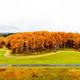 Illustration for article titled The Ten Prettiest Racetracks In The World